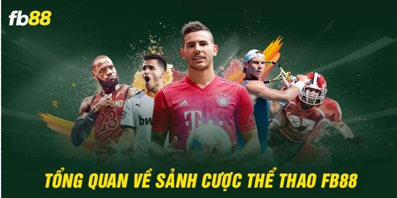 Cá cược thể thao FB88 ngày càng được ưa chuộng